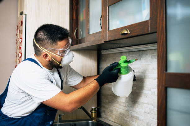 Best Wildlife Control Services  in High Point, NC