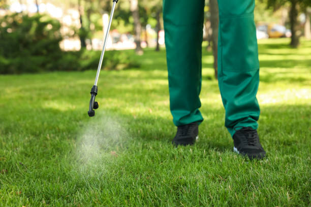 Reliable High Point, NC Pest Control Solutions