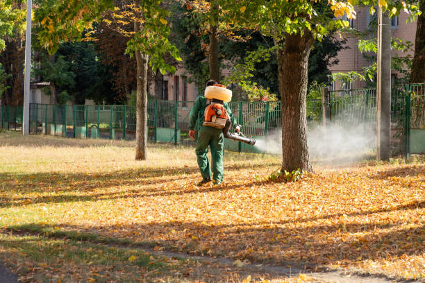 Best Pest Inspection Near Me  in High Point, NC