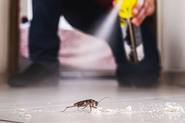 Best Pest Prevention Services  in High Point, NC