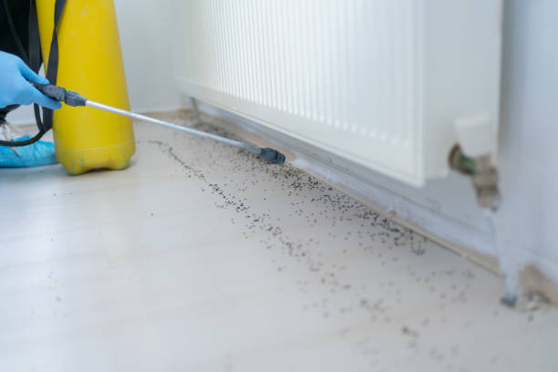 Best Bed Bug Extermination  in High Point, NC