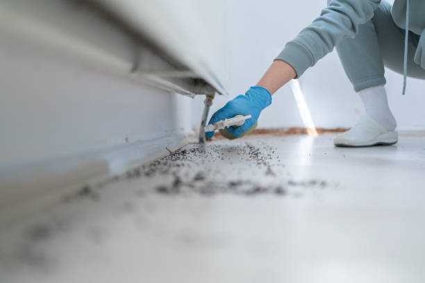 Best Affordable Pest Control Services  in High Point, NC