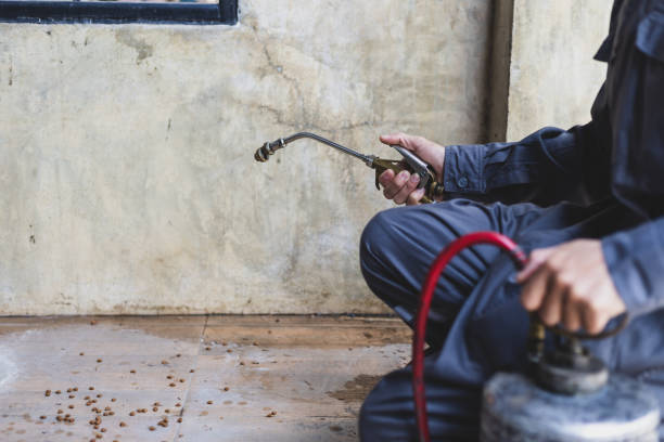 Pest Control Cost in High Point, NC